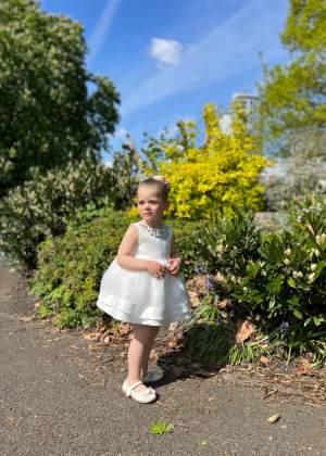 Ivory Organza Diamond Crystals Embellished Flower Girl Dress Ivory Organza Diamond Crystals Embellished Flower Girl Dress